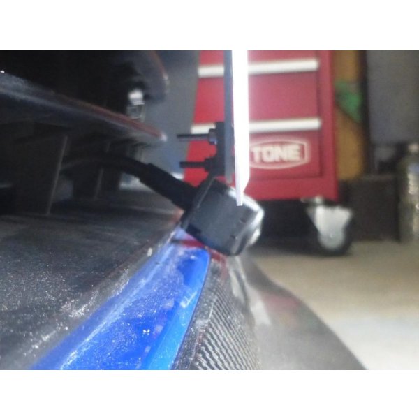 画像6: カーボングリル 【VM】 【S-CRAFT】