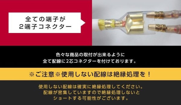 画像3: 源取り出しハーネス【汎用】【GT-DRY】【S-CRAFT】 (3)